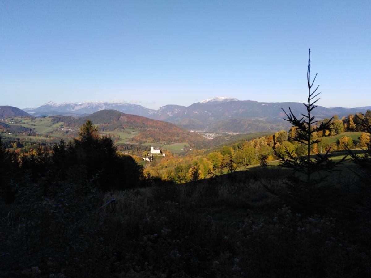 Ferienhaus Bauer Wohnung 2 Trattenbach  Esterno foto